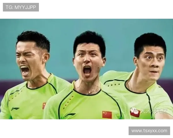 北京羽毛球队进攻战术解析及其在赛事中的应用探讨